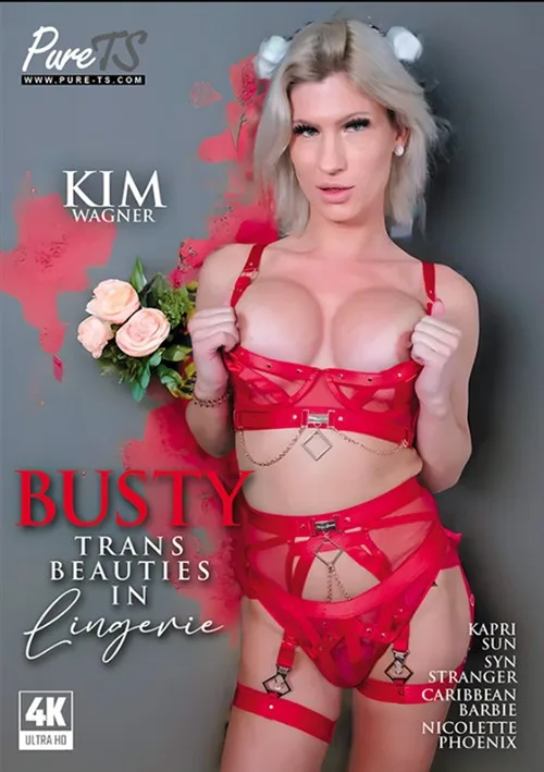 Busty Trans Beauties in Lingerie